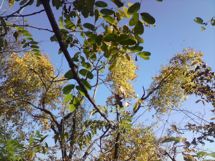DSC01109