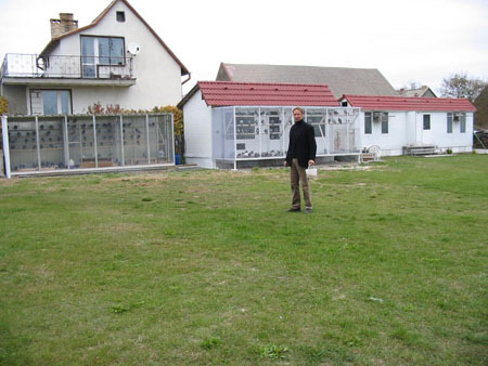 hoklech1 - MODELE DE CRESCATORII