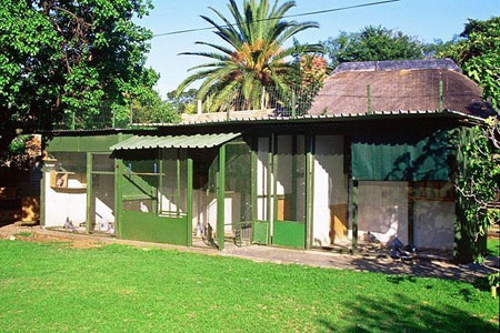 hoknel - MODELE DE CRESCATORII