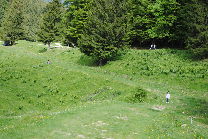 DSC_0284