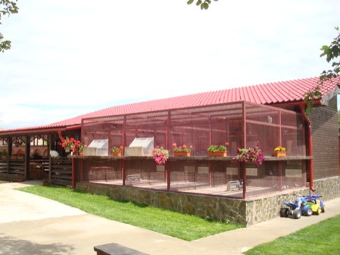 model-crescatorie-02 - MODELE DE CRESCATORII