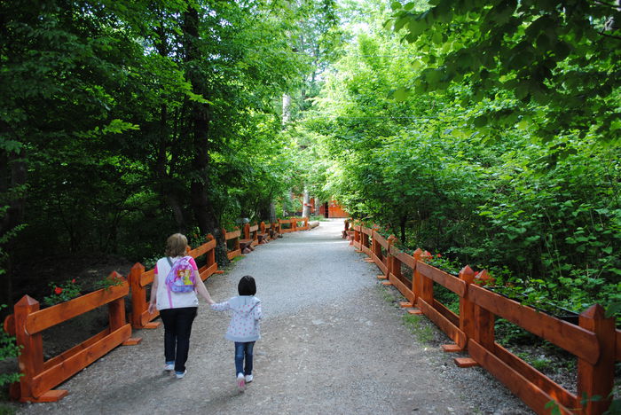 Parc Aventura Brasov