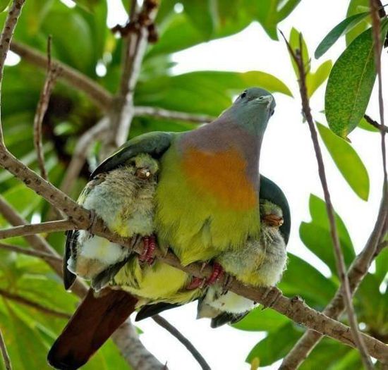 12106959_995279713826937_335798882900807928_n