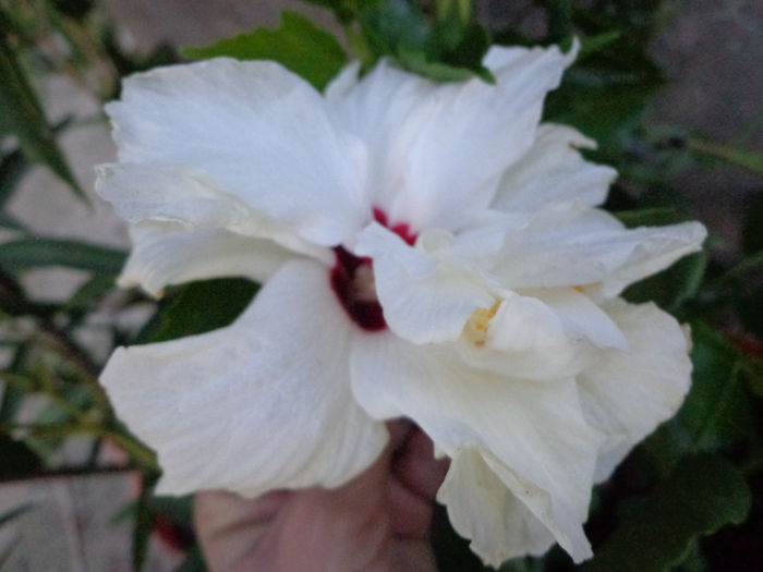 DSC01102