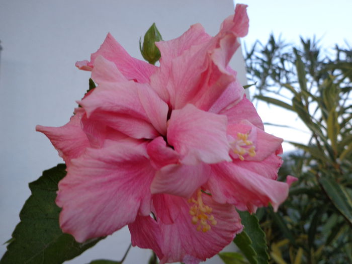 DSC01108