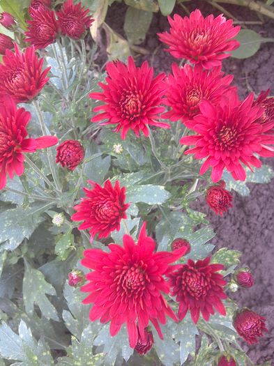 WIN_20151025_112246