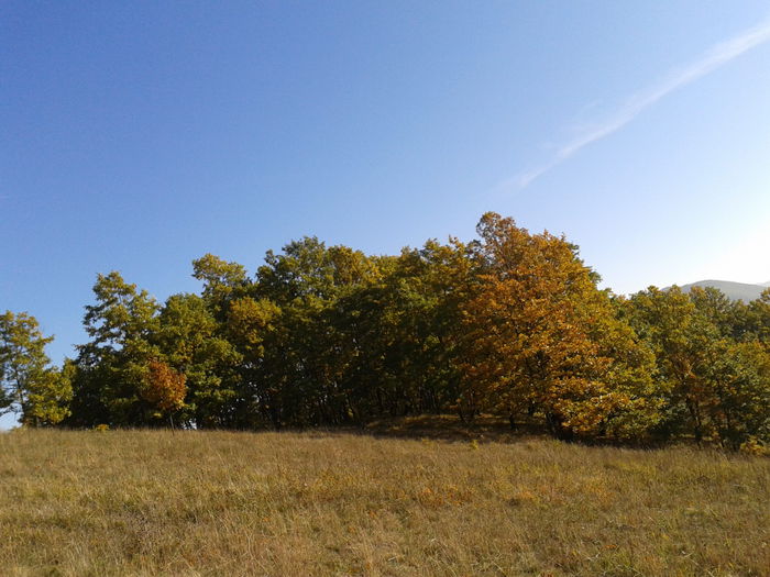 Fotografie-0036 - Oile de la Stoienasa Octombrie 2015