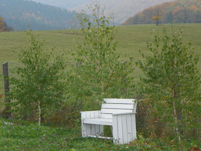 mestecenii mei - z-Dobarland 2015