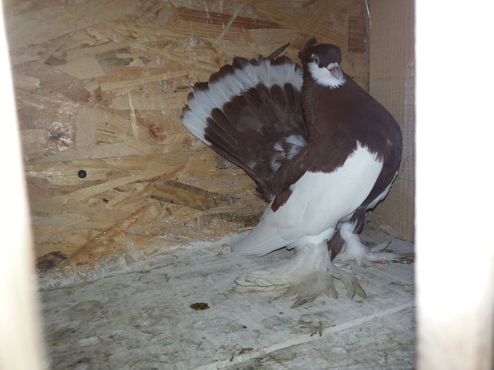 ( M )  EE B110 (2014)