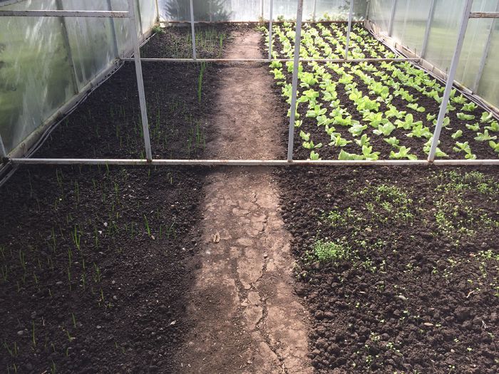 24.10.2015 - 0019 SERA construita in 2012