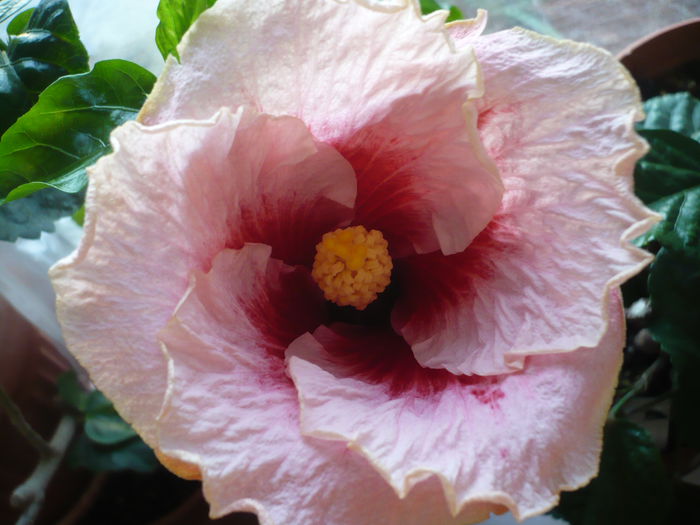 P1240528