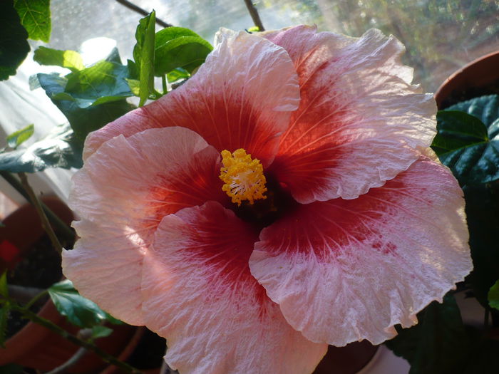 P1240546
