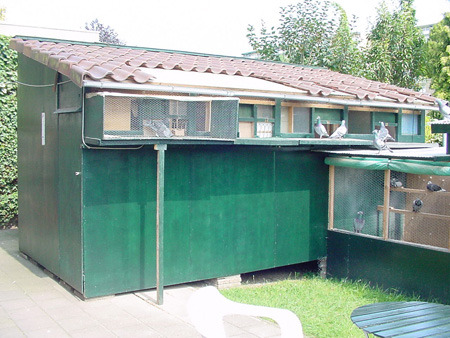 heinnen1 - MODELE DE CRESCATORII