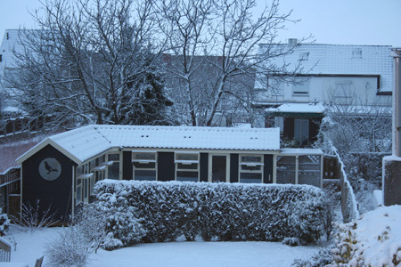 hokalbers - MODELE DE CRESCATORII