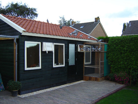 hokare - MODELE DE CRESCATORII