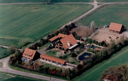 hokbirgit - MODELE DE CRESCATORII