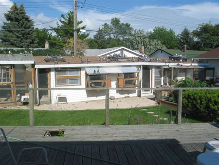 hokcal - MODELE DE CRESCATORII