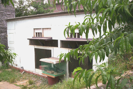 hokcor - MODELE DE CRESCATORII