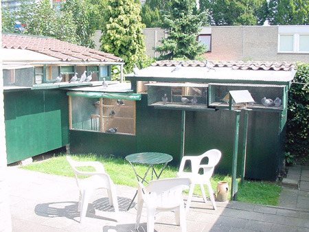 hokheinnen - MODELE DE CRESCATORII