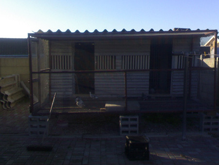 hokmario - MODELE DE CRESCATORII