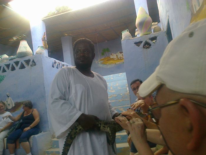 nubian cu crocodilul