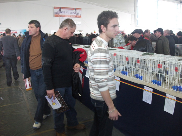  - Expo Brasov 2009