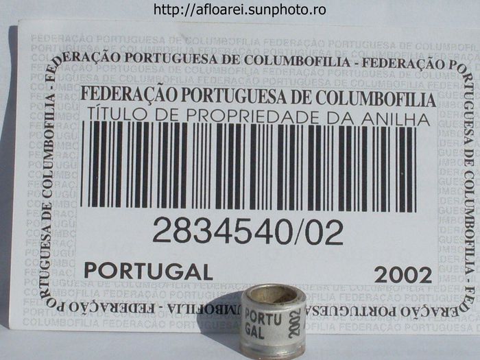 portugal 2002 - PORTUGALIA-PORTUGAL