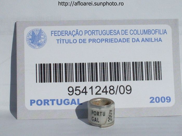 portugal 2009 - PORTUGALIA-PORTUGAL