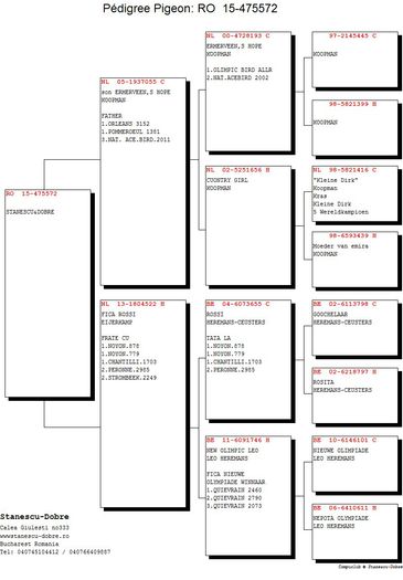 Stanescu-Dobre-RO-475572-2015-pedigree