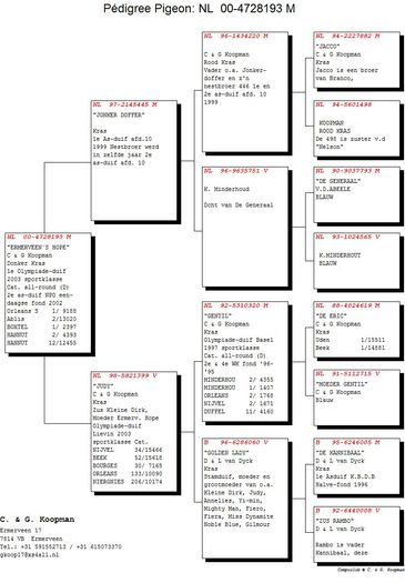 Ermerveens_Hope_NL-2000-4728193; PEDIGREE BUNIC 1
