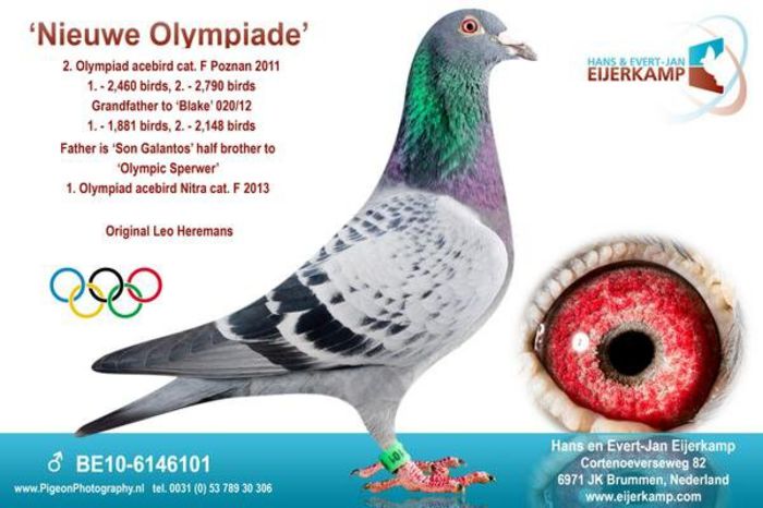 BE10-6146101_1577 nieuwe olympiade; STRABUNIC
