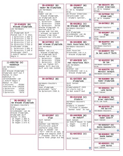 NL 11-6091746; PEDIGREE BUNICA 2
