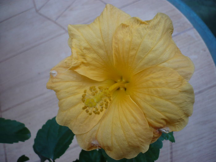 P1240549