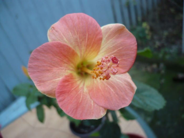 P1240552