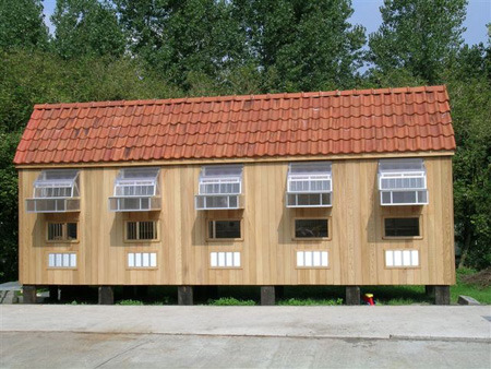 sergex2 - MODELE DE CRESCATORII