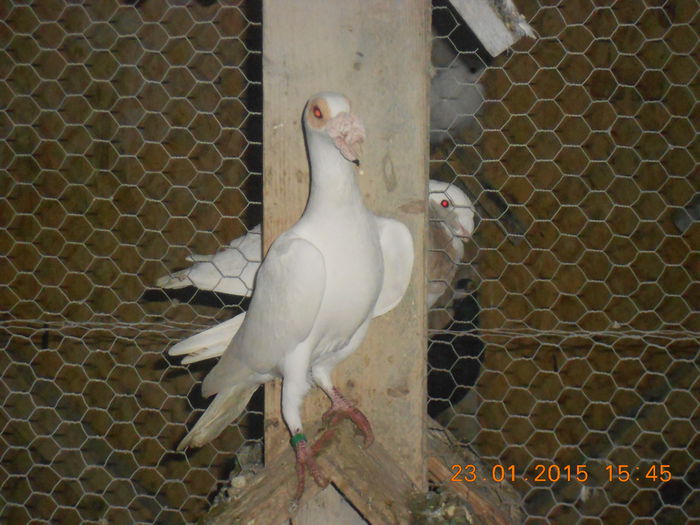 DSCN3344 - Carieri
