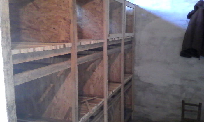 modul 12 boxe in lucru