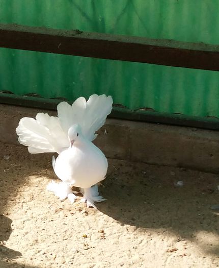 fem.2014 pamfilovidiu.jud.Suceava