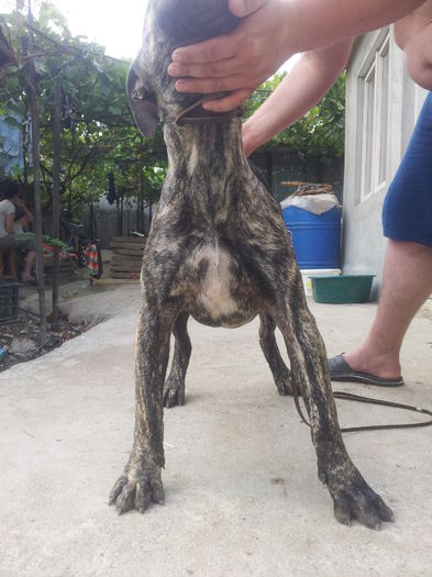 20150909_161629; unika
