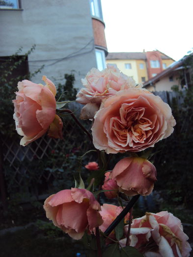 DSC08154 - Versigny
