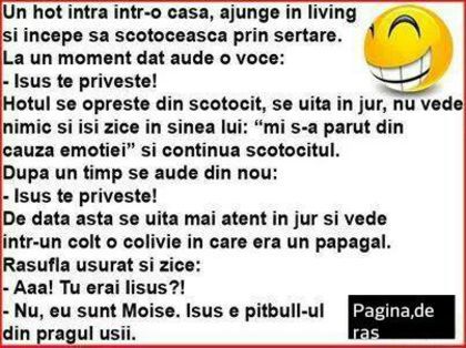 104729082_NYAFNOF - Diverse