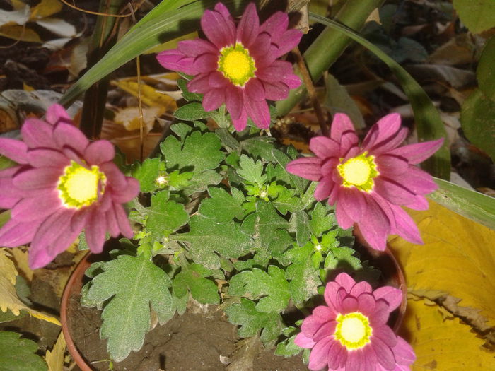 20151030_074033