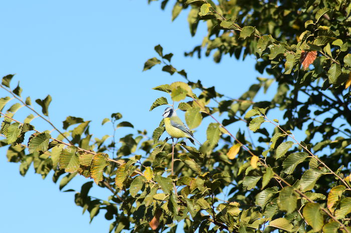 DSC_1352 - DE PRIN NATURA