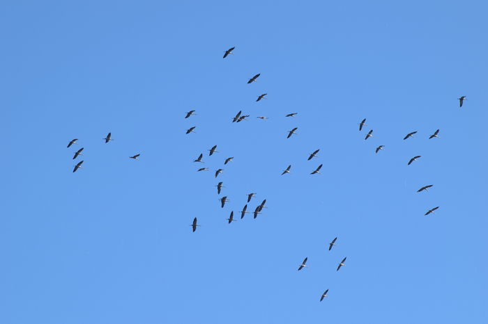 DSC_1460 - DE PRIN NATURA