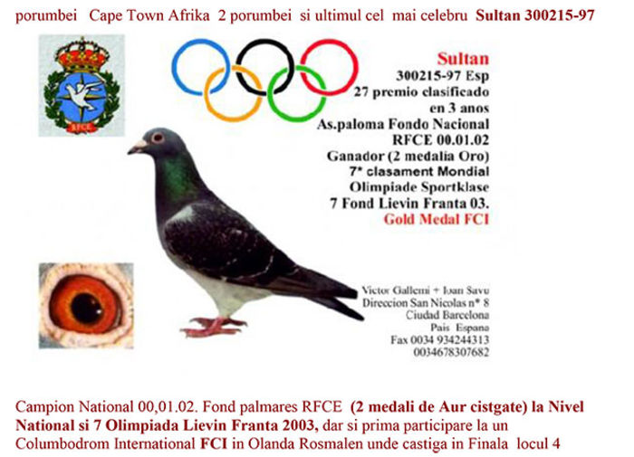 sultan-olimpic