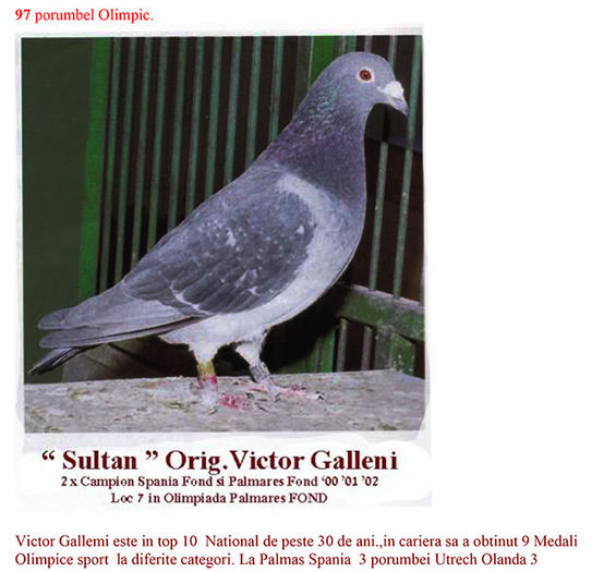 sultan-victor-gallemi - Matca