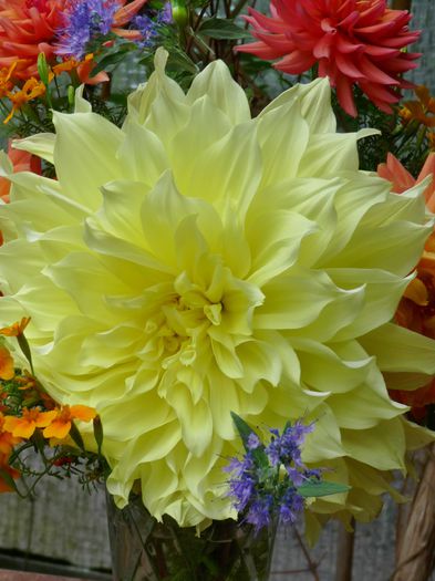 P1730356 - 01 - Floristica