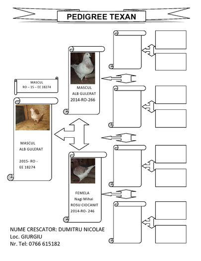PEDIGREE M - inel EE 18274