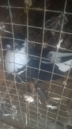 WP_20151031_16_31_27_Pro