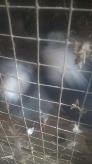 WP_20151031_16_31_20_Pro